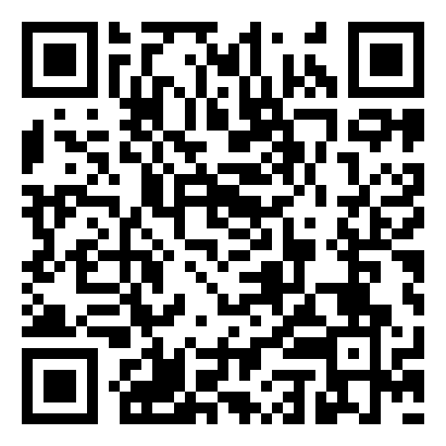 WeChat-ready QR code for the Wangzheng Heavy Equipment website
